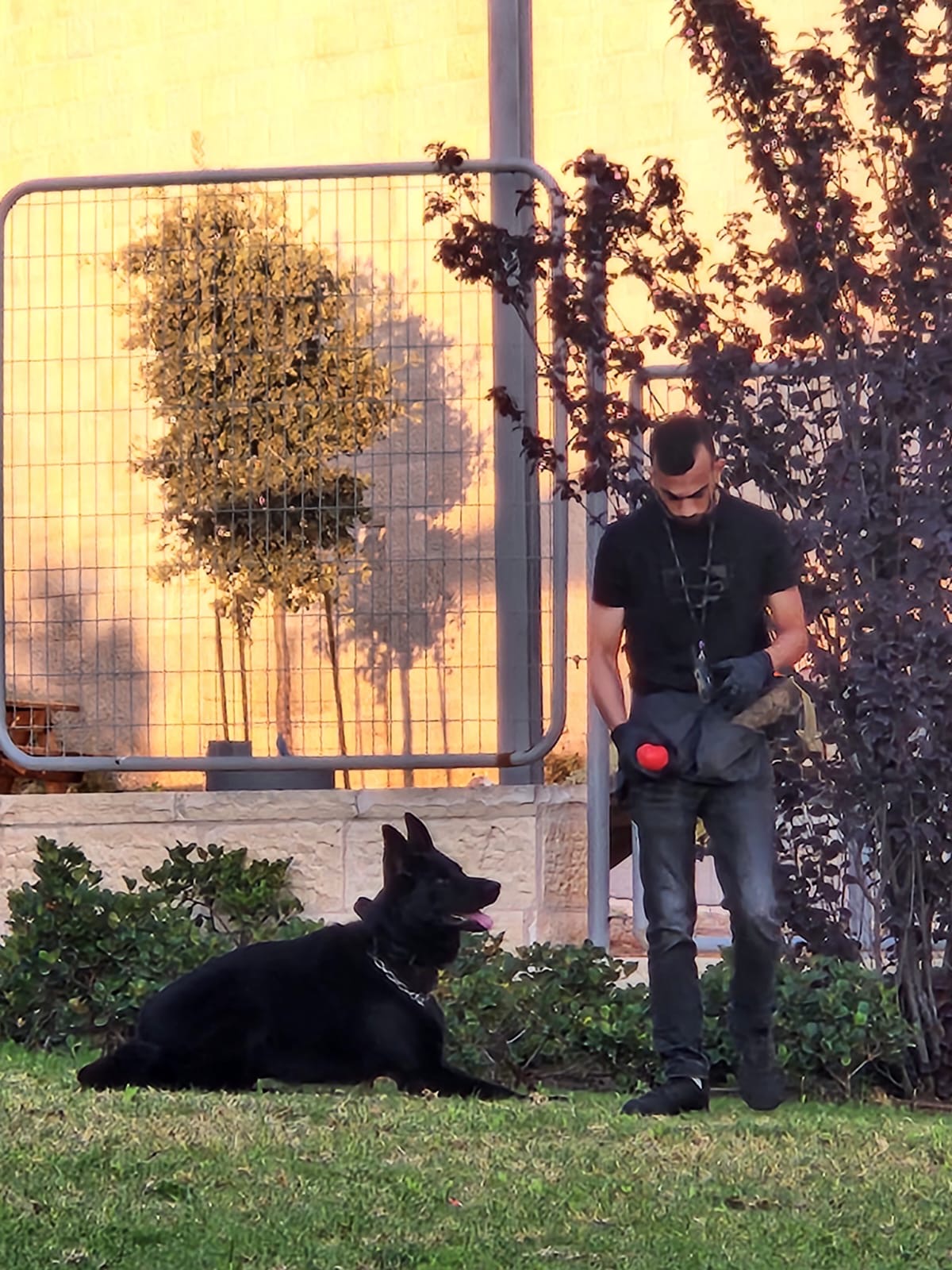 מאלף כלבים מקצועי במהלך אימון עם כלב בשטח